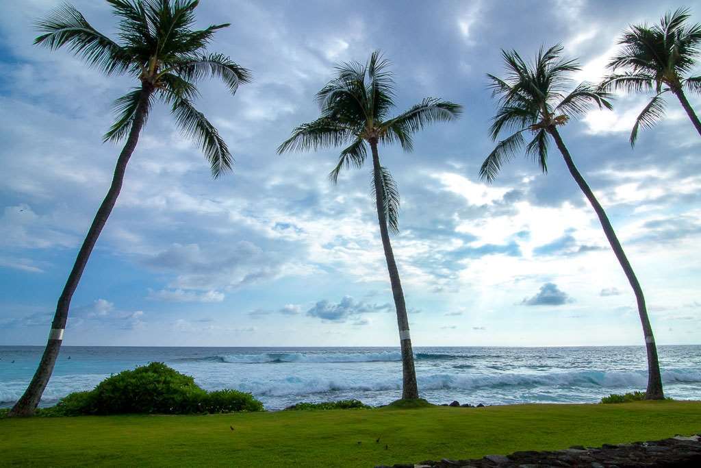 Kona Reef Hotel Kailua-Kona Ruang foto